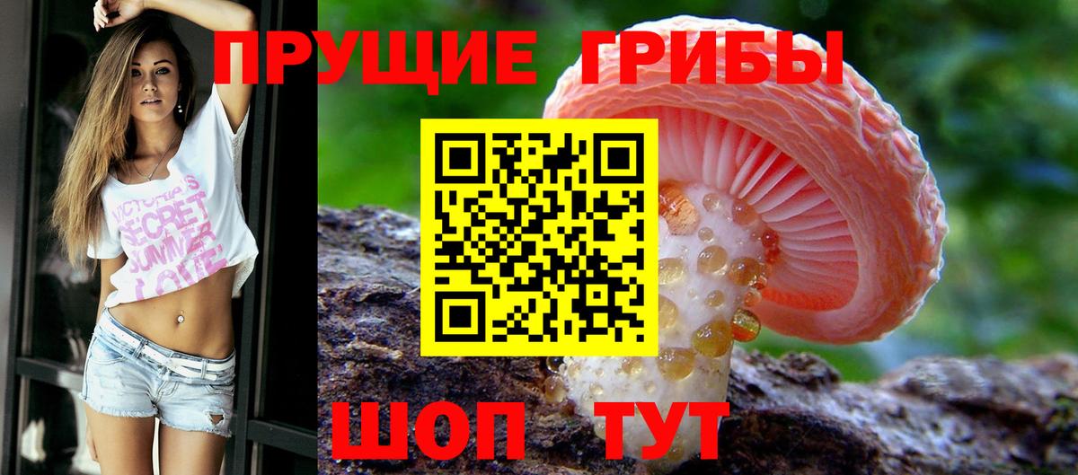 Псилоцибиновые грибы GOLDEN TEACHER  цена   Соликамск  Вход с VPN 
